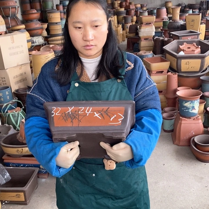 紫砂花盆盆栽花卉苗木种植