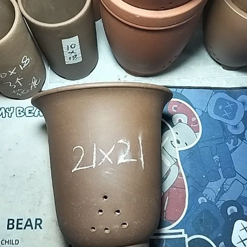 大金钟一个花盆微瑕