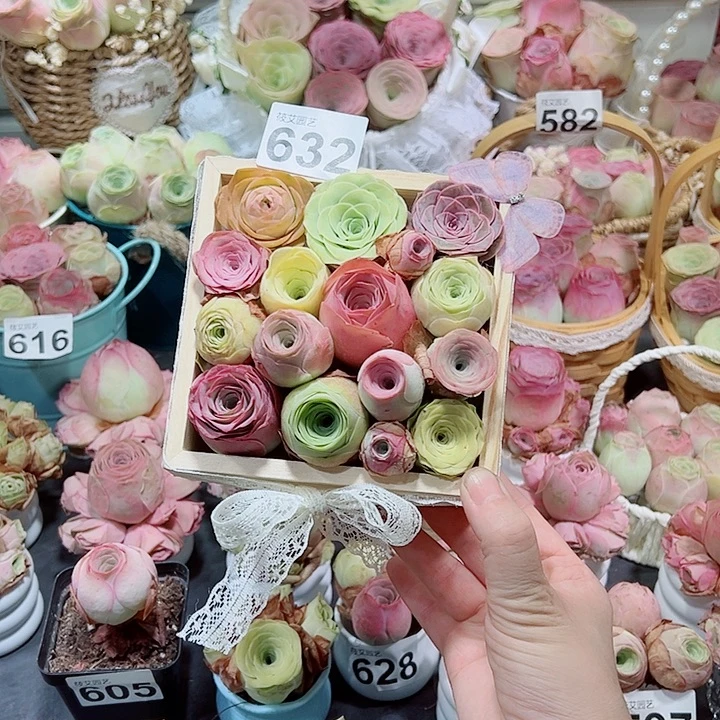 美***夕632春日来信实木精品小花盒。 一物一拍