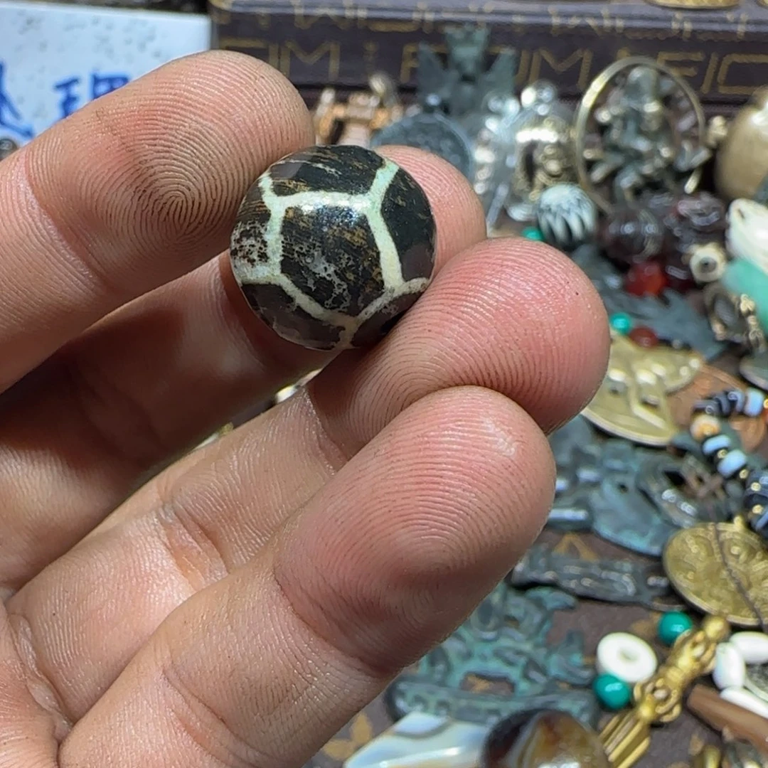 老老老老老老老老