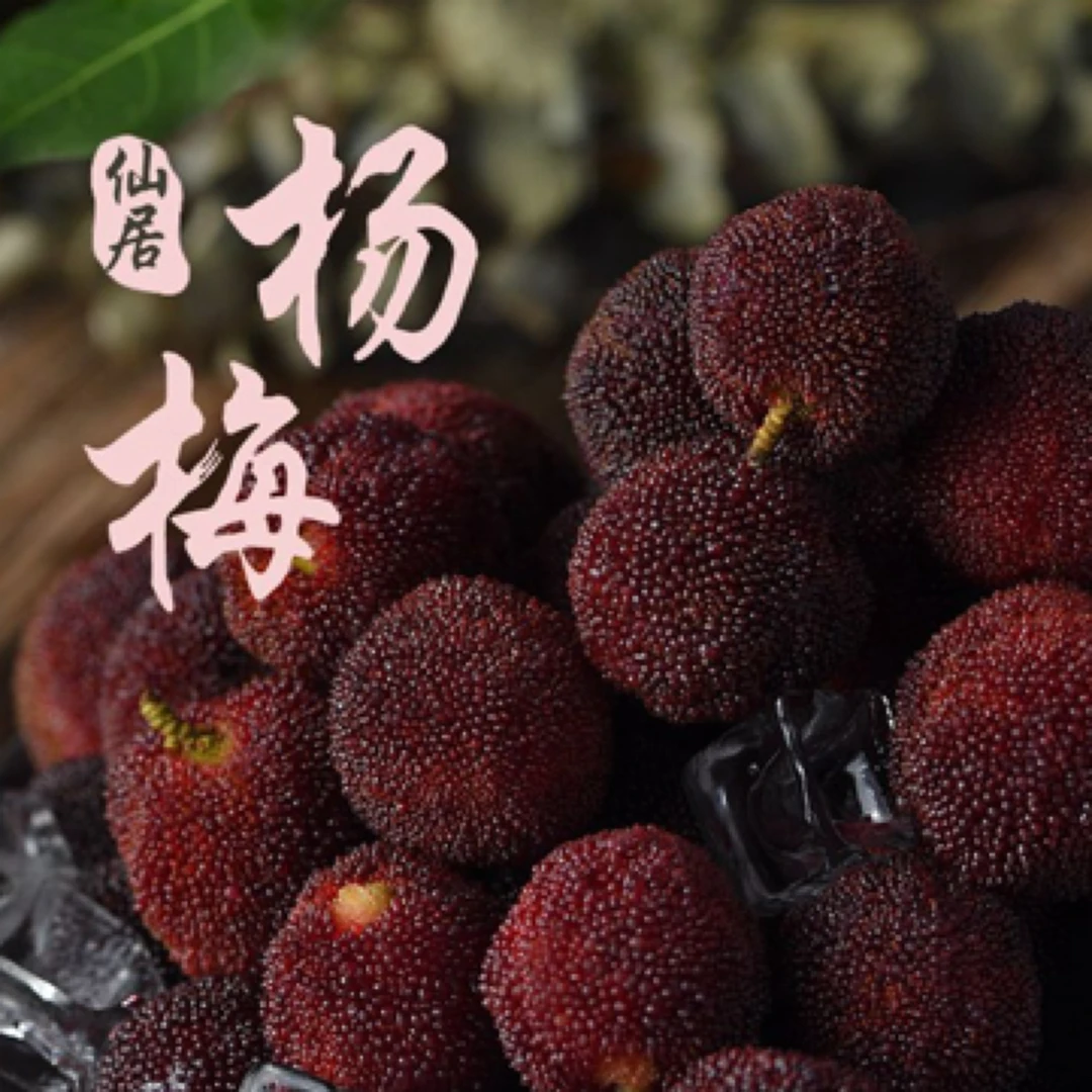 正宗仙居荸荠杨梅6斤篮装 现摘现发时令水果精品大果八分甜礼盒装