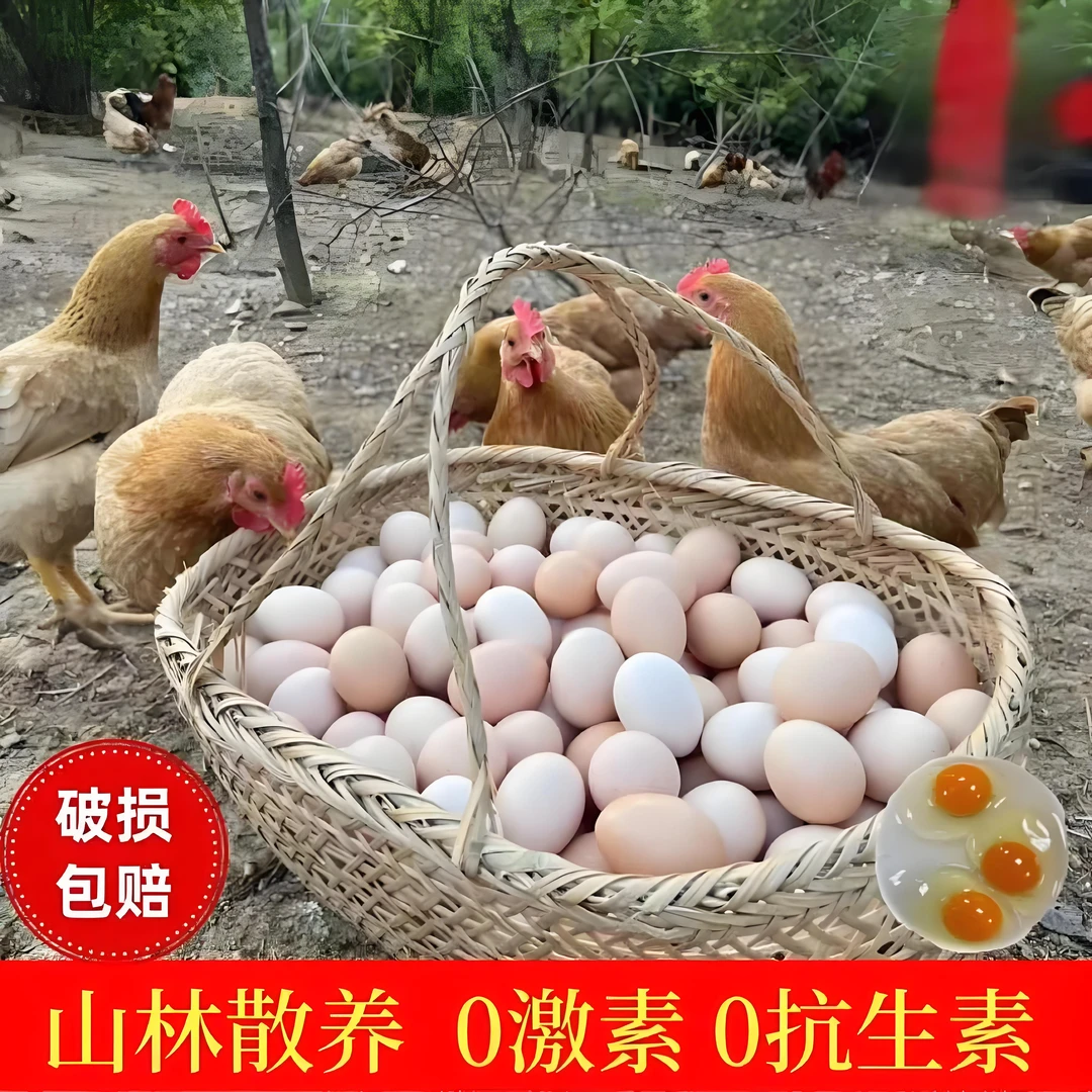 正宗农家散养新鲜富硒土鸡蛋高营养无抗山林纯五谷喂养