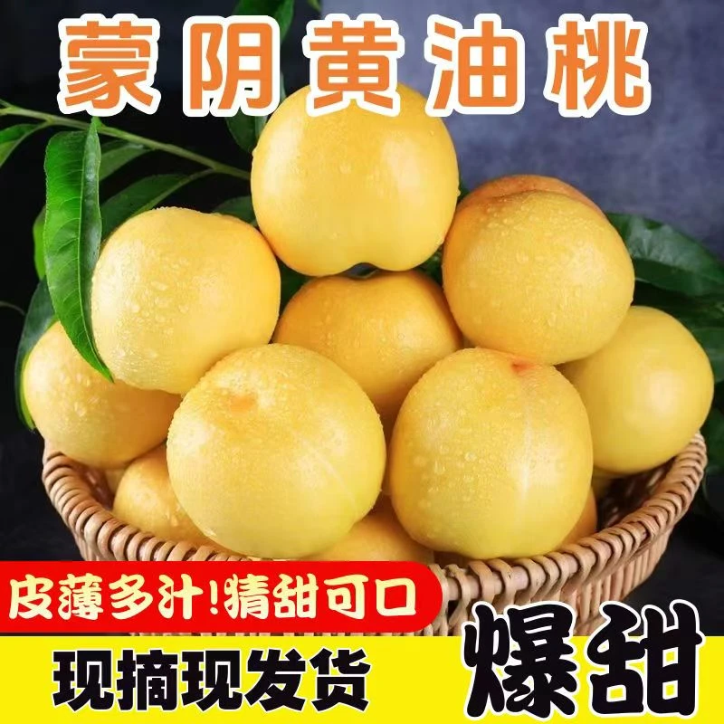 果润禧芒果油桃山东蒙阴新鲜水果当季孕妇脆甜黄金桃子露天桃