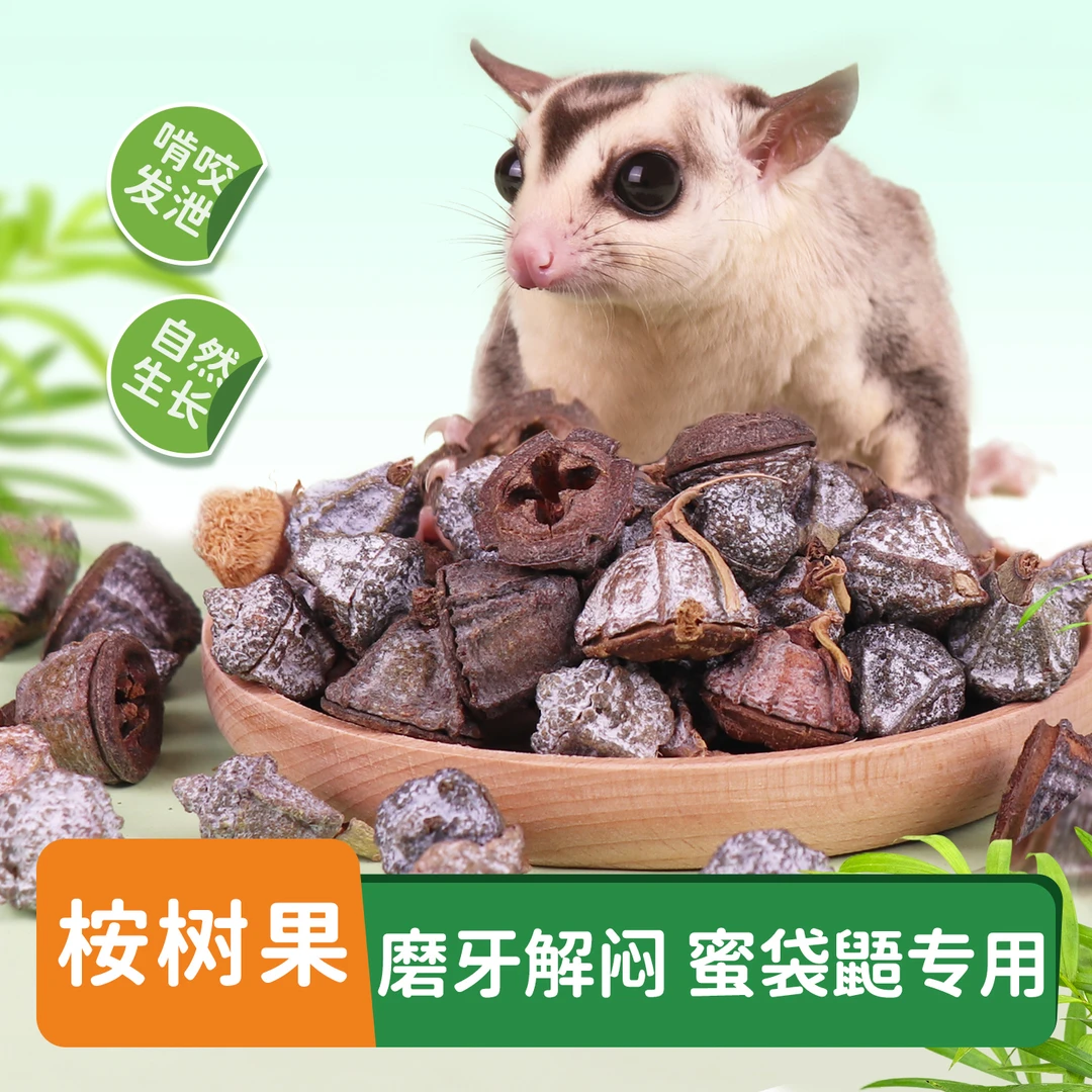 蜜袋鼯玩具磨牙解闷桉树果桉树叶垫料造景用品蜜袋鼬吊桥玩具自嗨