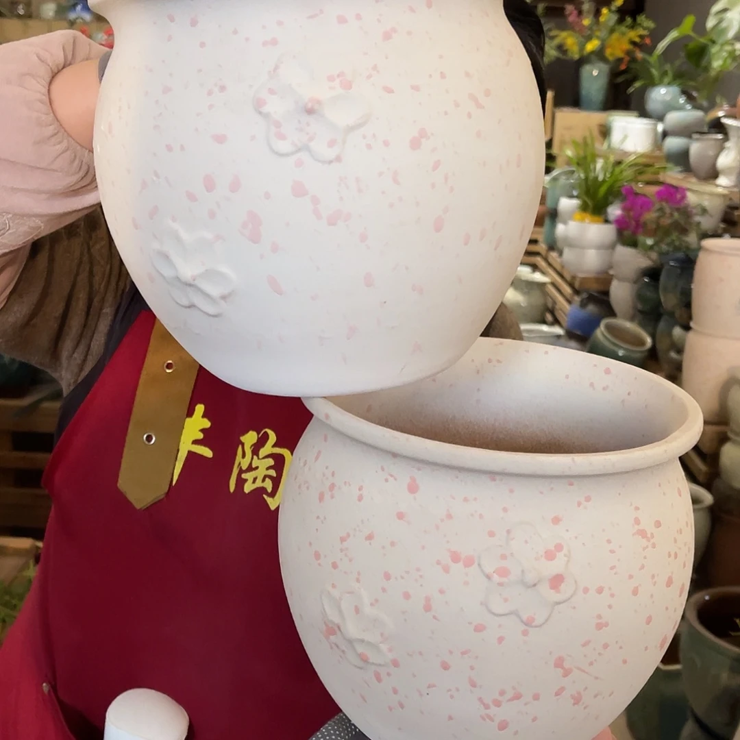 红陶高度18口径19