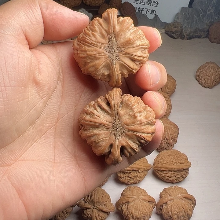 卡姿兰大眼睛狮子头