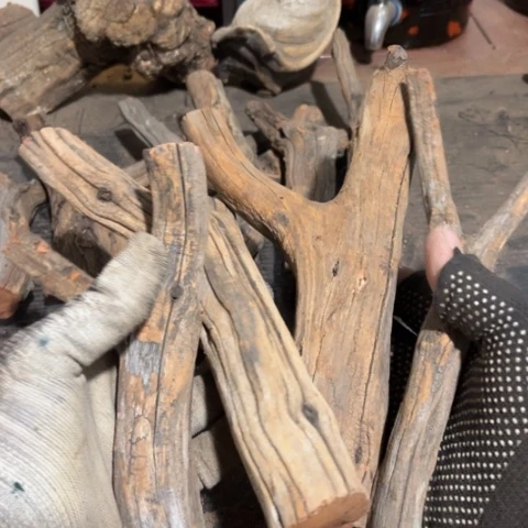 大果紫檀（缅甸花梨）黄*顺