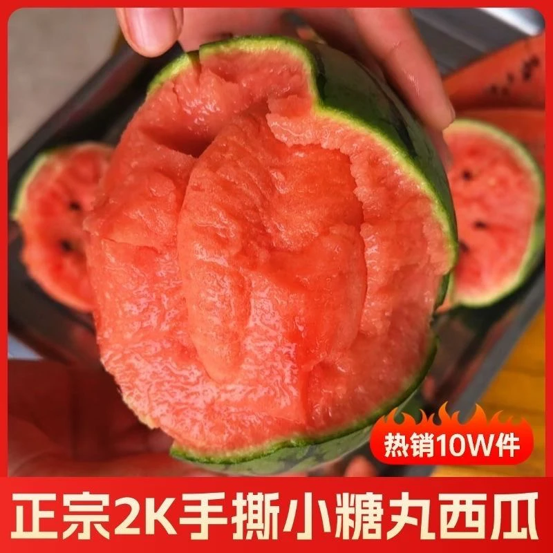 【手扒小糖丸】山东头茬手剥薄皮冰糖子小西瓜 脆甜多汁 3-7斤 顺丰