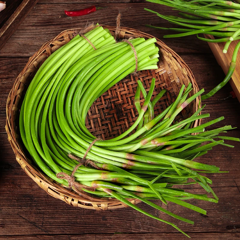 河南新鲜蒜苔3/4.5/5斤色泽翠绿鲜嫩爽口