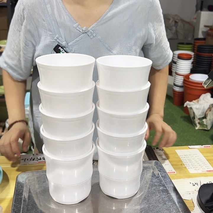 竹节口10高10白色10只带托