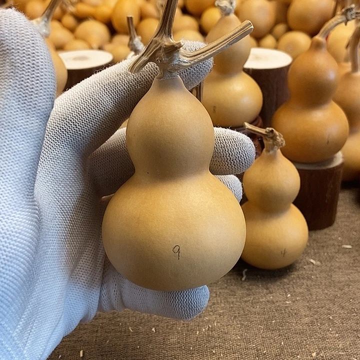 文玩葫芦 完美主义者 慎拍9