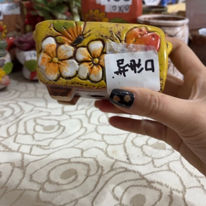 多肉花盆满15包邮