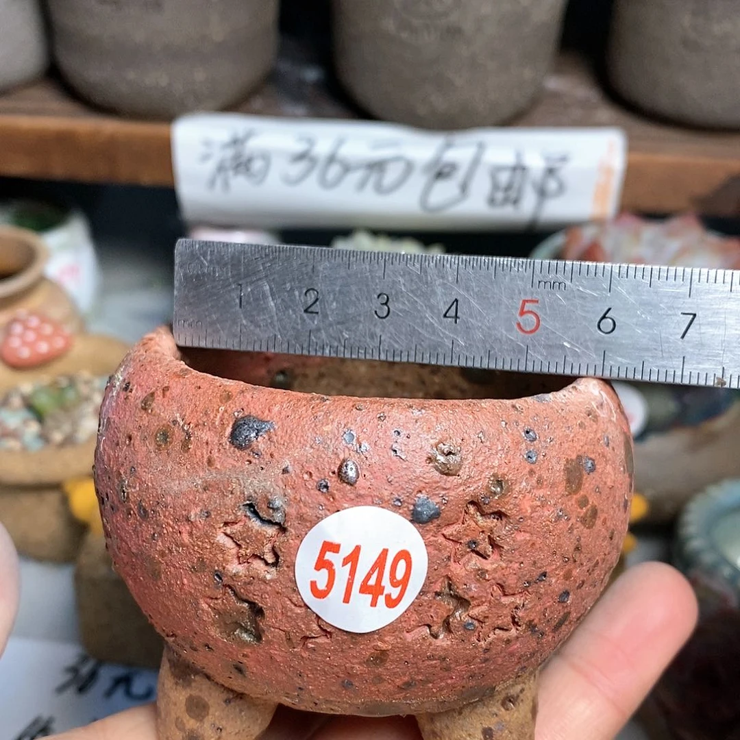 红陶拍5送一个小