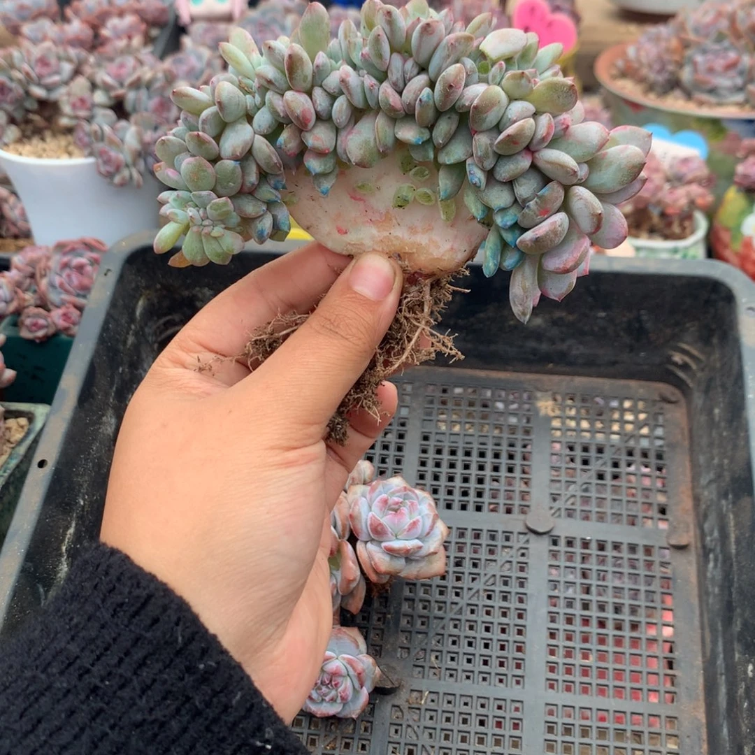 哈哈哈哈哈哈哈哈4