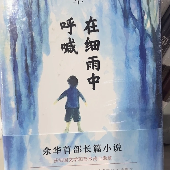 在细雨中呼喊全新精装