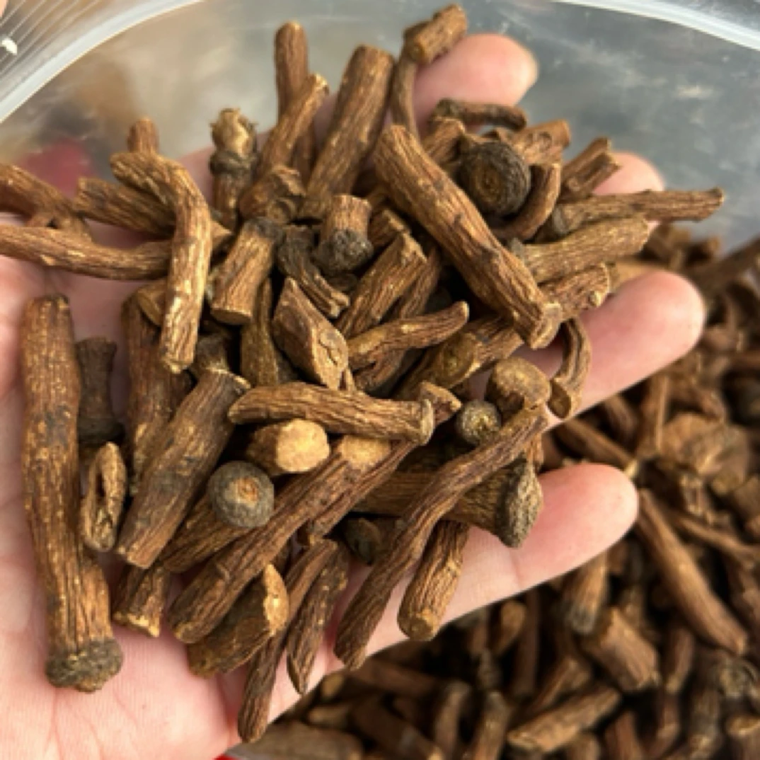 长白山  蒲公英根 煮水泡水