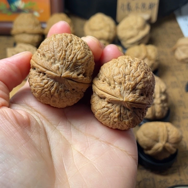 H***r云南野生铁核桃编号7