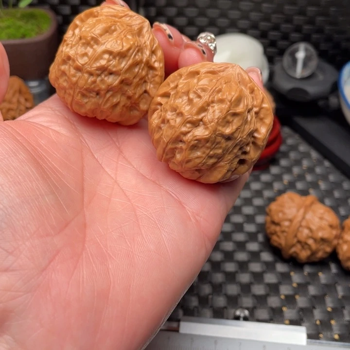 杰***伦39尺南瓜，打底发货