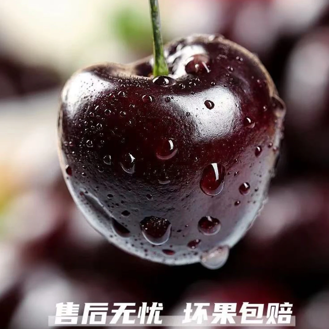 海运最新到货吉制桑提娜3J车厘子2.5KG智利