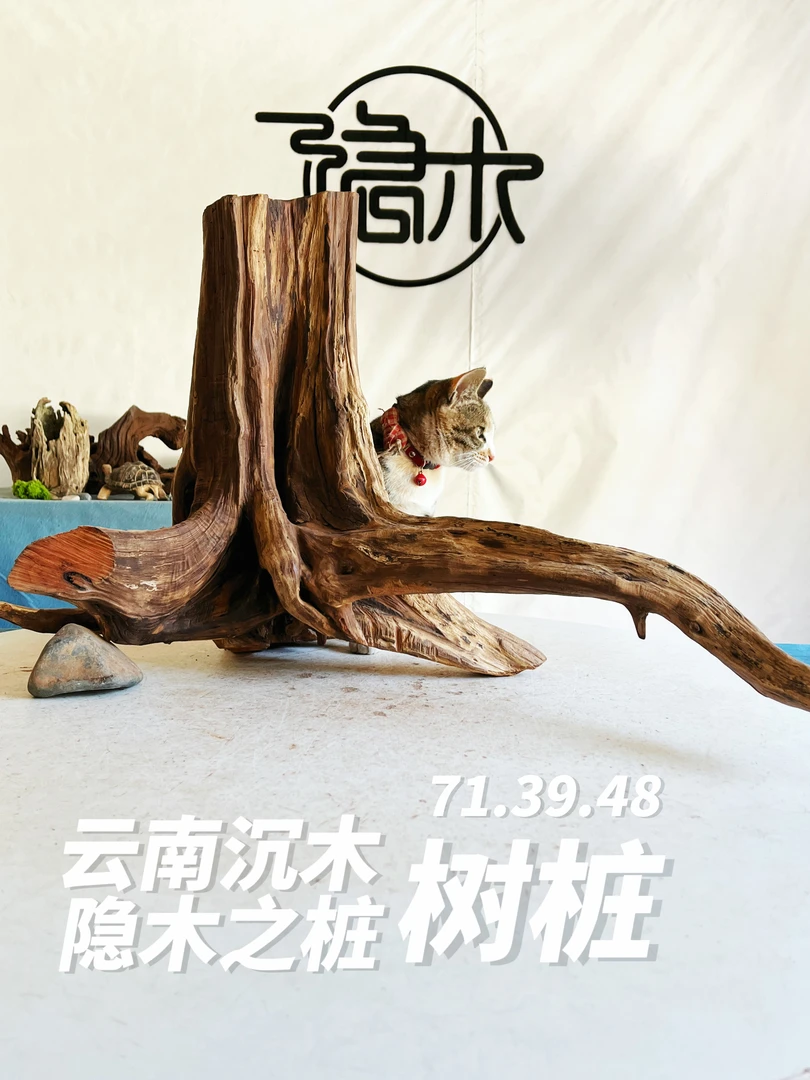 云南紫柚木沉木鱼缸蟹缸龟缸摆件装饰造景原木造景