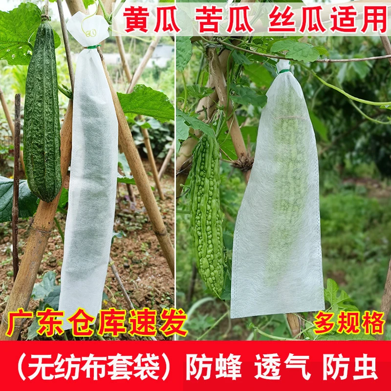 加长丝瓜苦瓜套袋无纺布防虫专用青黄瓜水瓜套袋透气防针蜂水果蝇