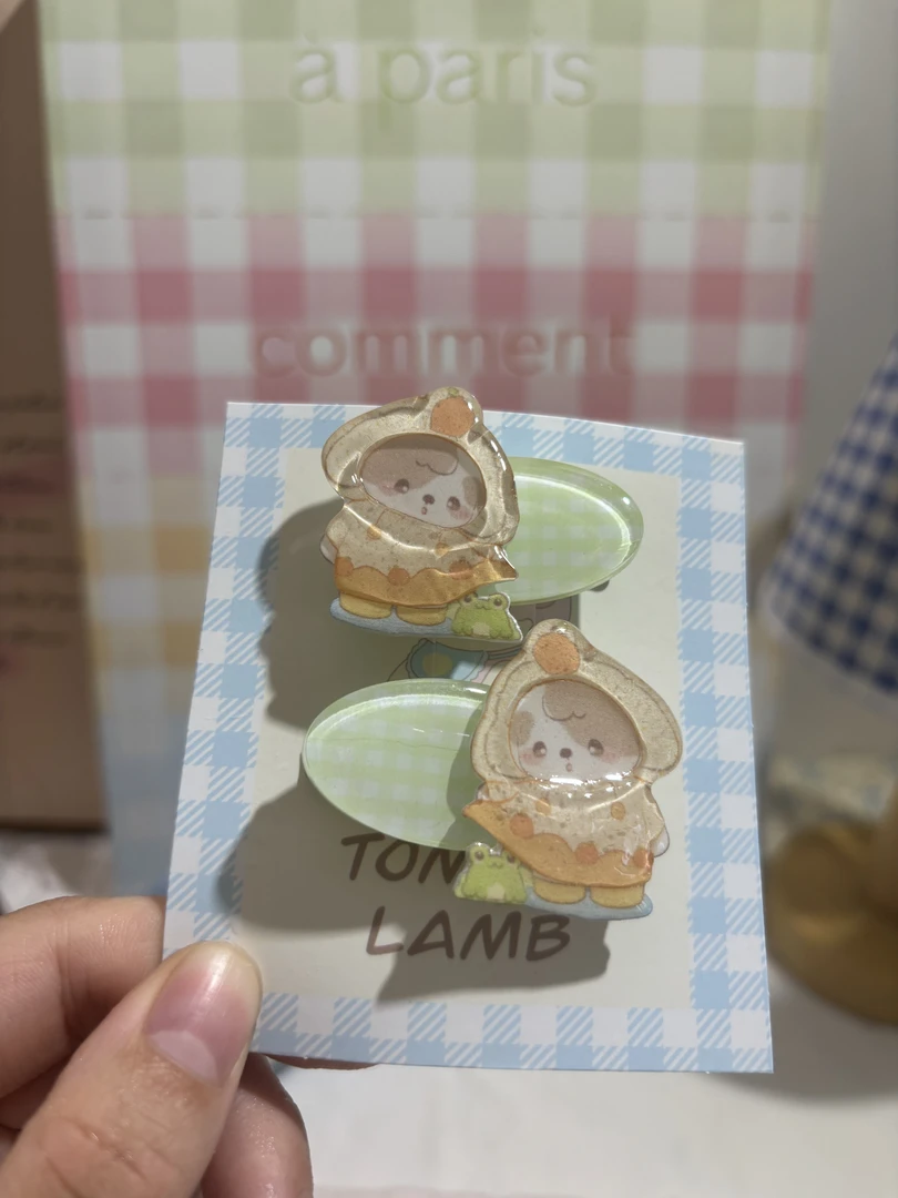 62214雨衣小狗发夹