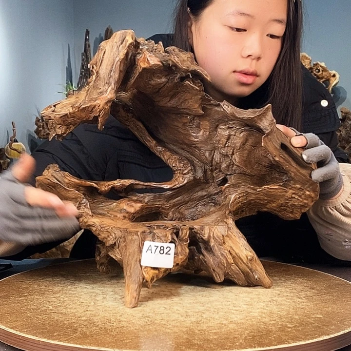 茶盏品***生782株木的随行的根艺