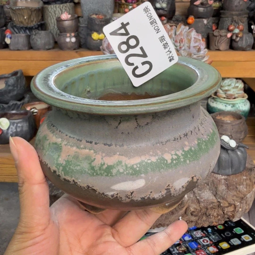 重庆小燕子欢迎大家284
