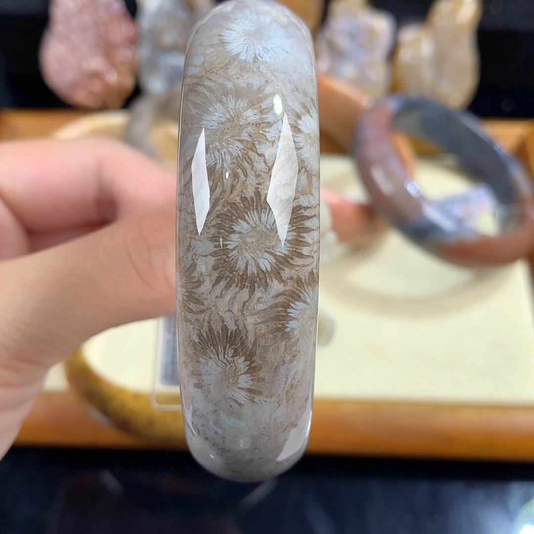 吊坠(赠链)未镶嵌硅化珊瑚（珊瑚玉）12号57.8圈口