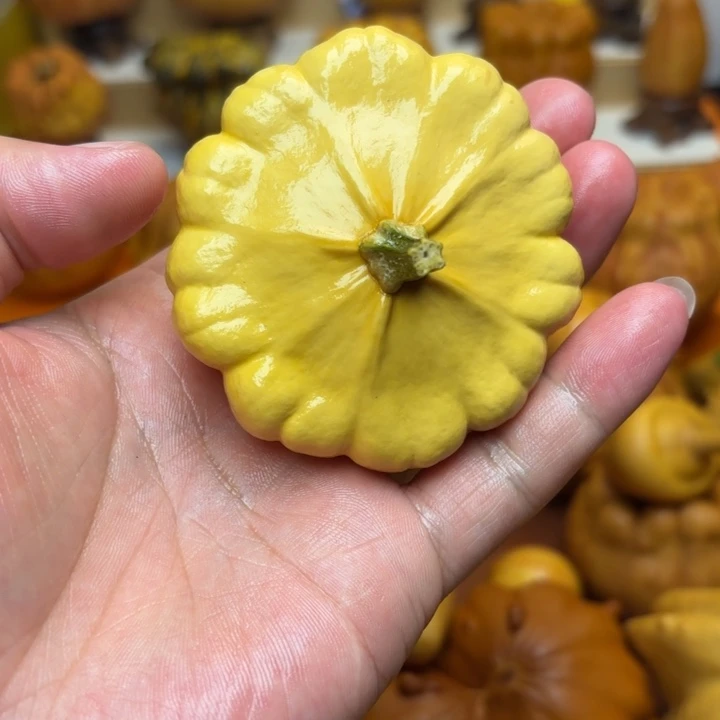 瑞***强特价福利不退不换