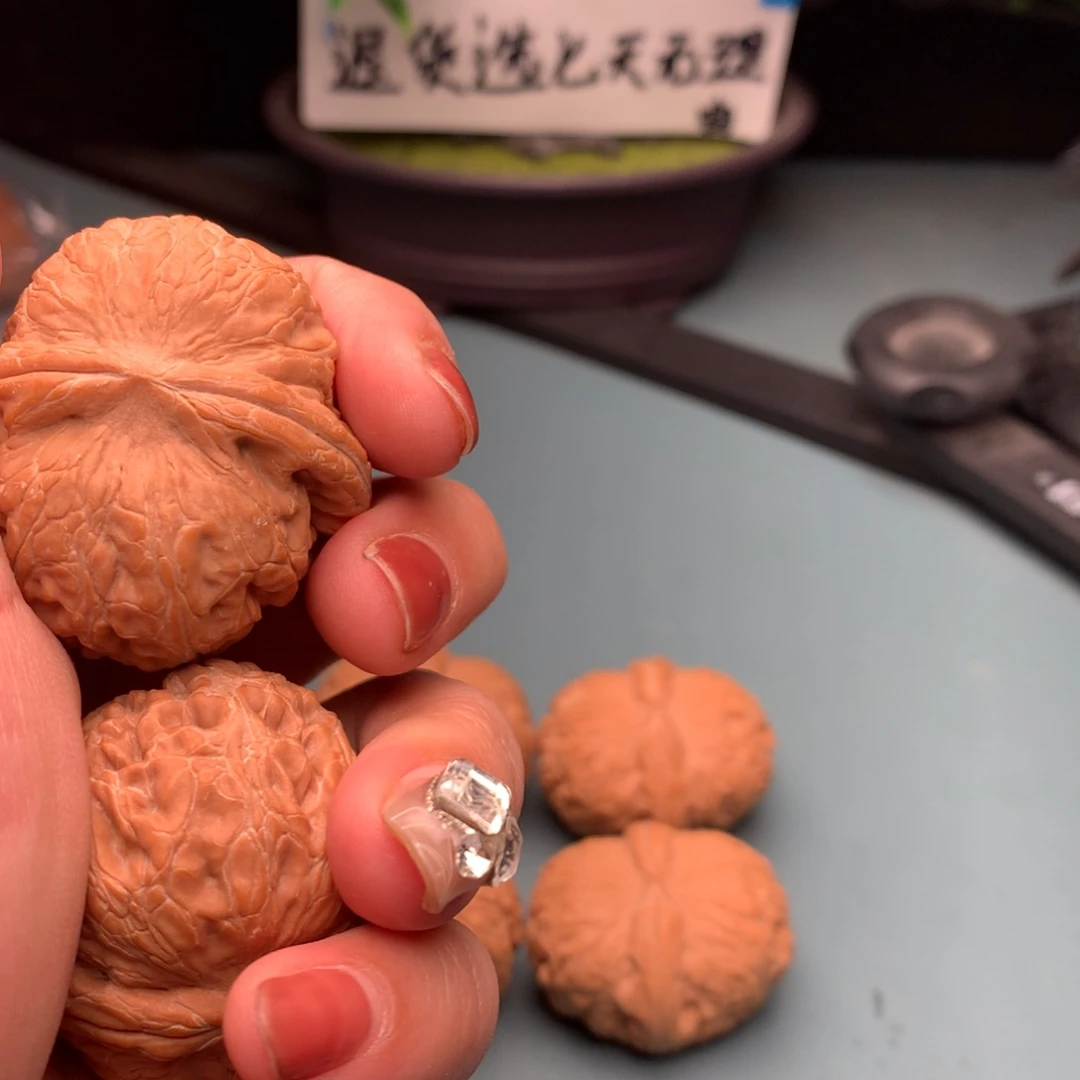 文玩核桃把件全品元宝4445