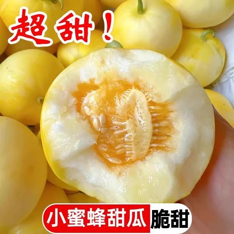 【源头直销】正宗现摘头茬山东小蜜蜂甜瓜薄皮当季新鲜水果整箱包邮