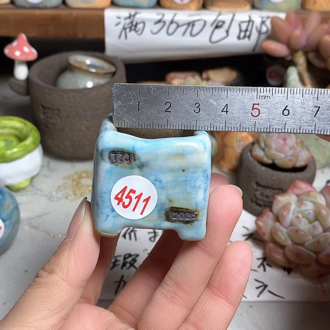 红陶拍5送一个小