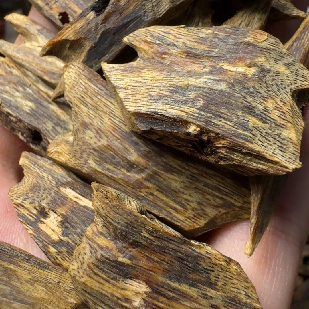 沉香沉香碎屑淳化老料白棋乌身圆叶高油块料50g