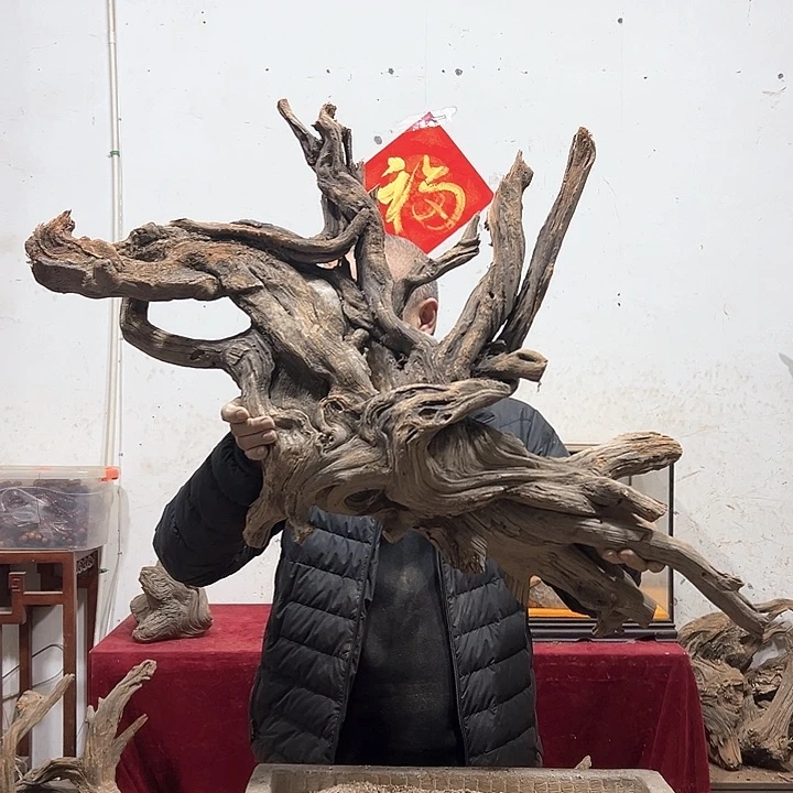 柏木杨**e我们的生活也是如此