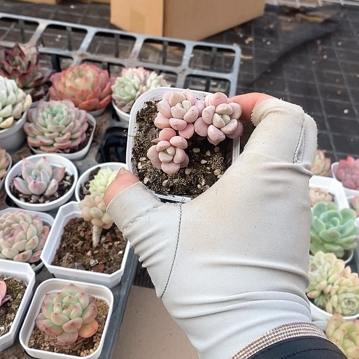 我****）宝子挑选的好东西 6804