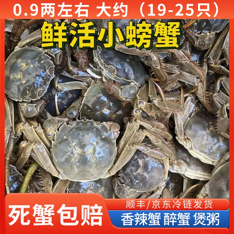 【鲜活】江苏河蟹 0.9-1.2两 约（19-25只）洪泽湖螃蟹 公母组合2斤装