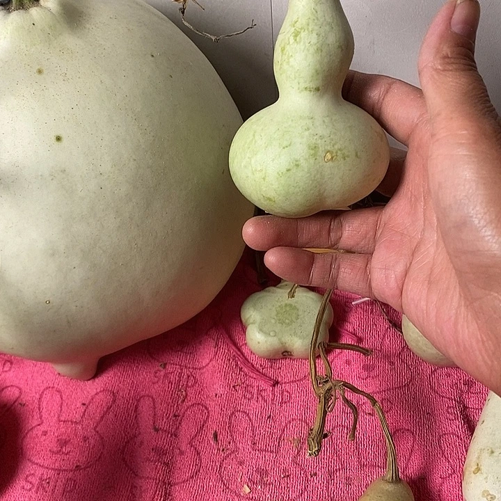 手***云青皮葫芦手把件葫芦