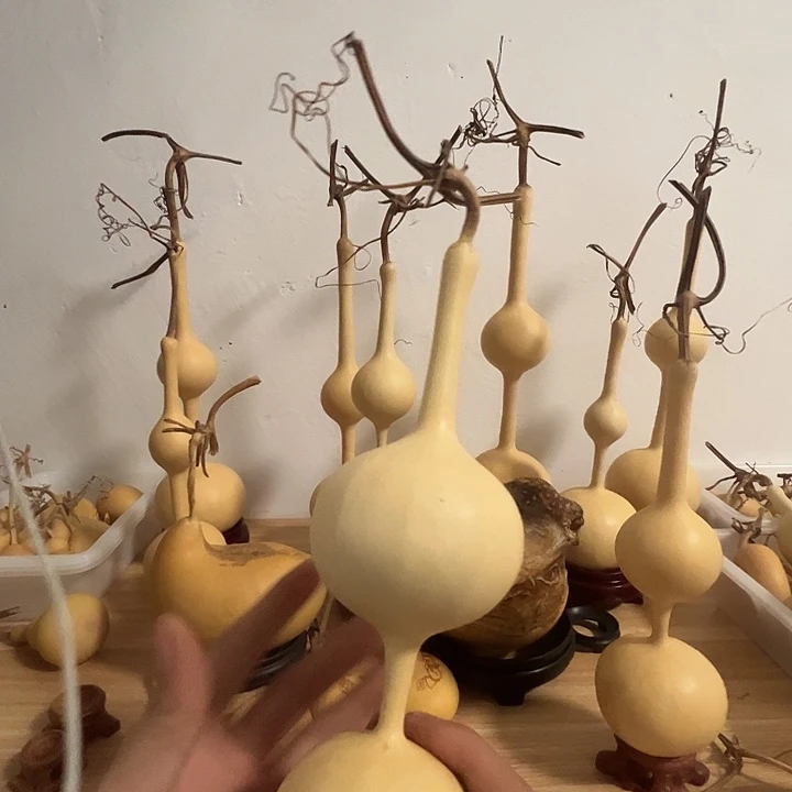 真***y三庭文玩葫芦摆件80.8福利不退不换