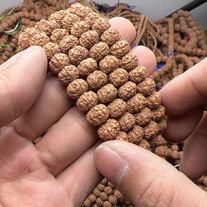 金刚菩提手串健***楊树王