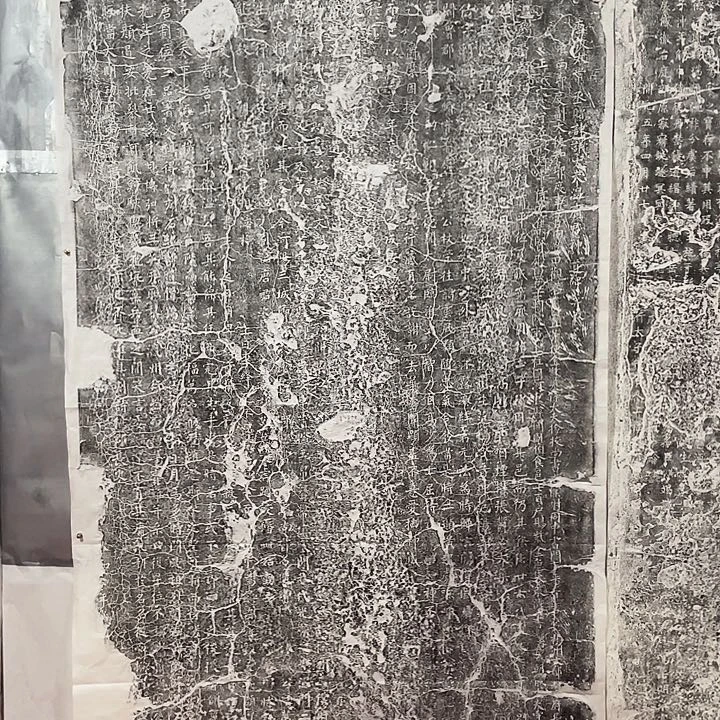 小***鱼昌化石印石拓片11111111111111111