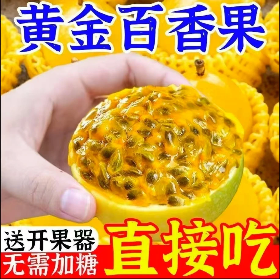【15个装】钦蜜9号黄金百香果新鲜现摘现发广西当季水果
