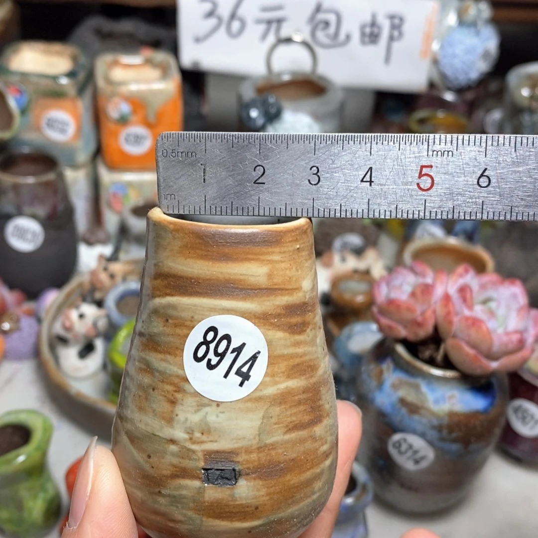 花盆拍5送一个小礼物