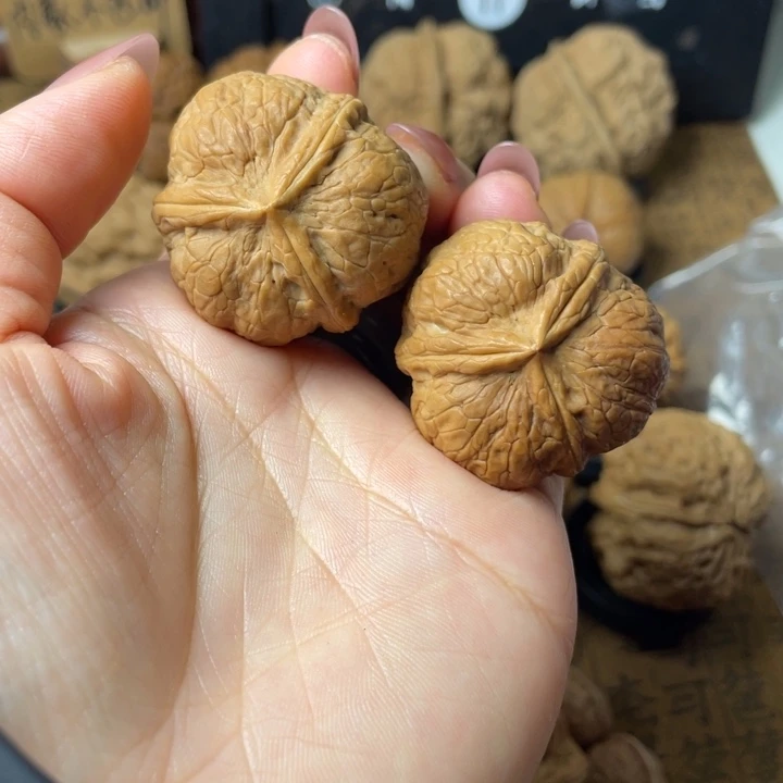 会****一物一拍如图所示52