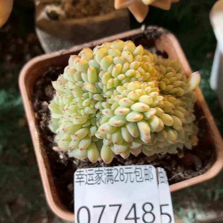 幸运的是我还没遇到过这么