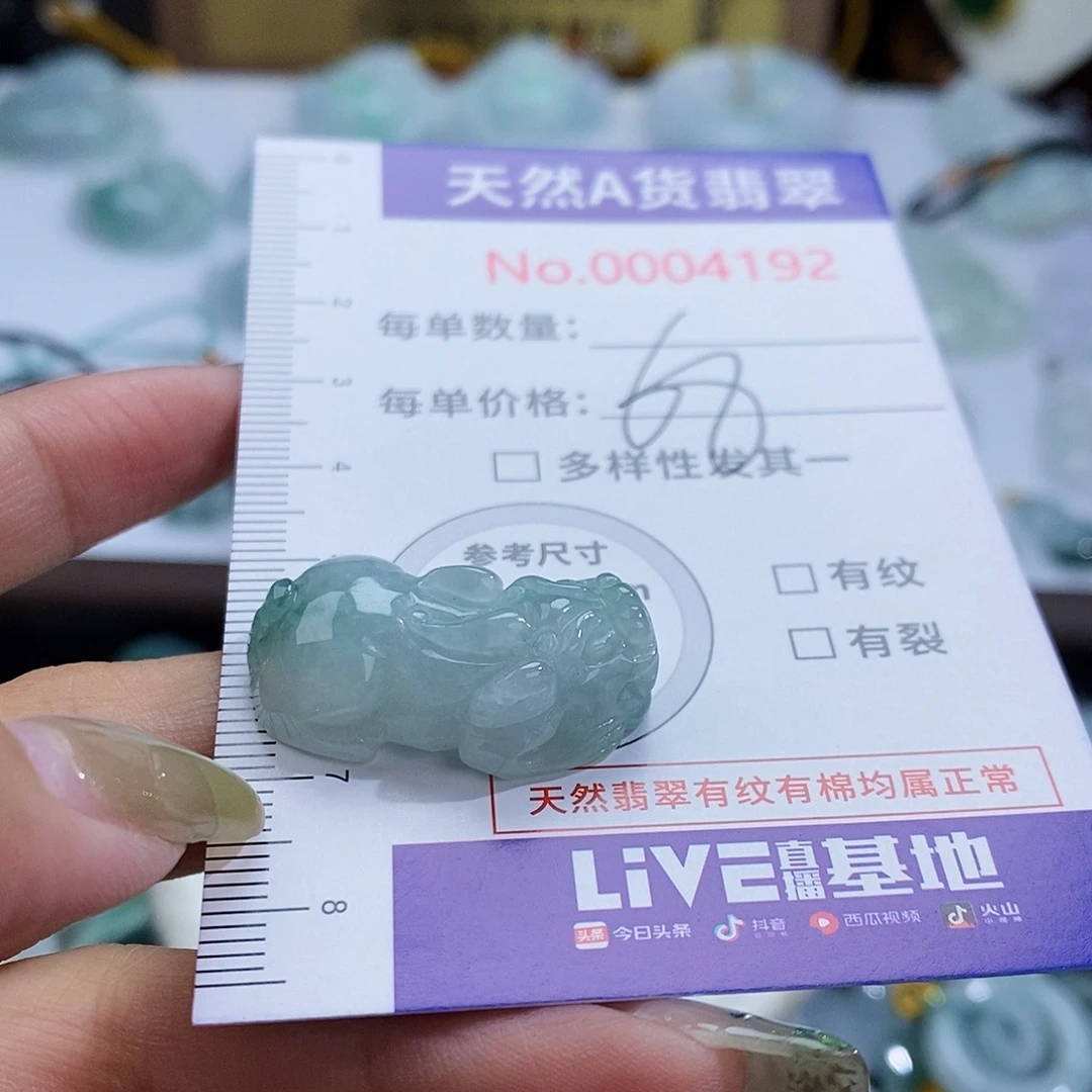 翡翠未镶嵌颈饰4192