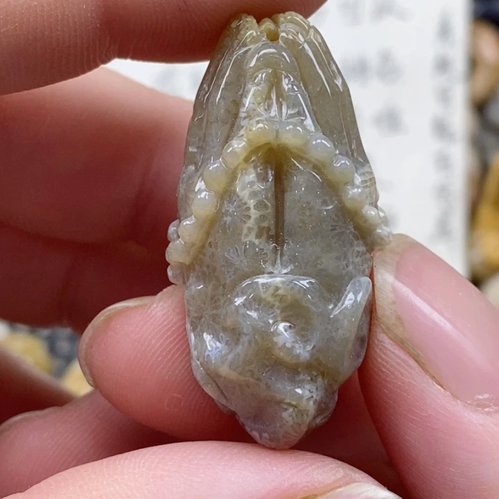 颈饰未镶嵌硅化珊瑚（珊瑚玉）