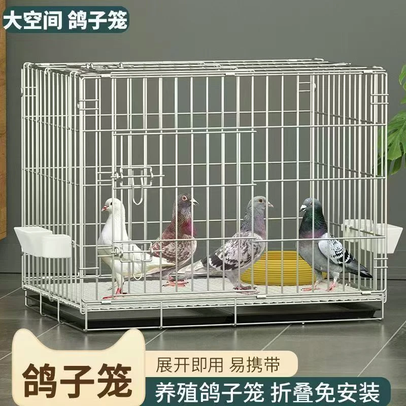 鸽子养殖笼繁殖笼观赏鸽笼大鸽笼鸽子鸟笼