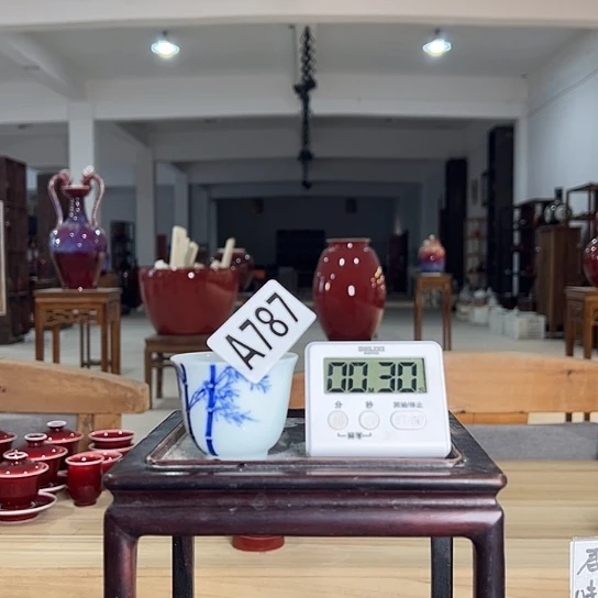 h***g瓷片787 景德镇陶瓷