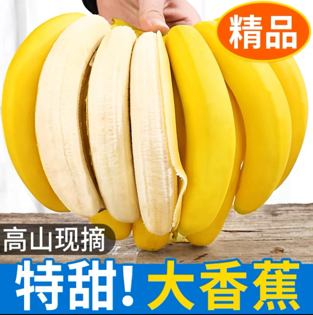 广西高山甜香蕉【净重5斤】应季新鲜热卖水果香甜软糯产地直发芭蕉